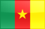 علم دولة الكاميرون